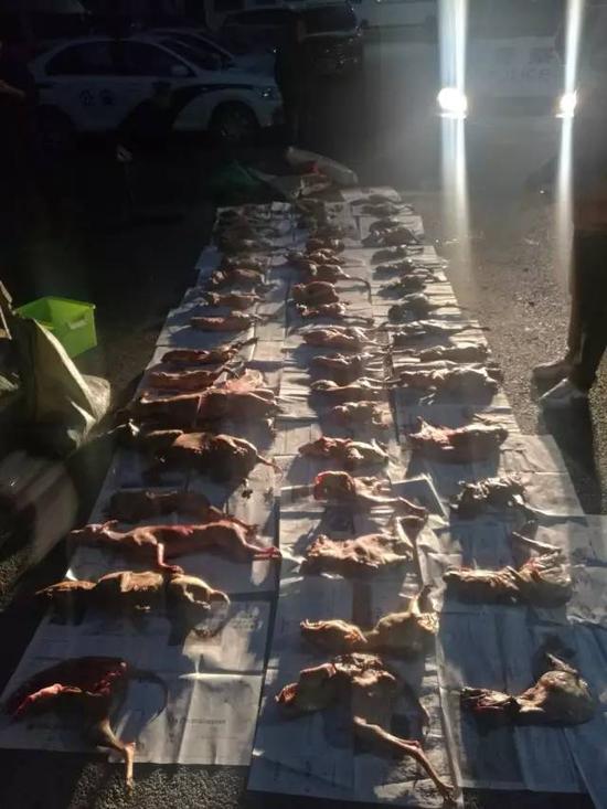 汉寿三男子涉嫌用毒镖盗狗300斤狗肉当场被扣