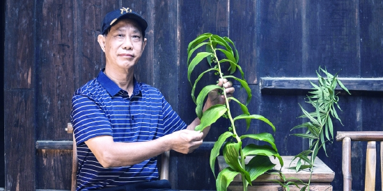 谷医堂道地药材