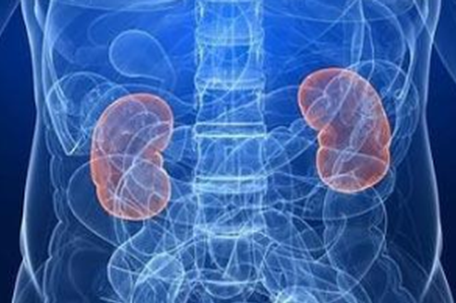 尿毒症换肾能活多久 透析时间最长是多少年