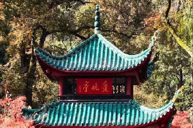 游客打卡长沙岳麓山红枫。摄影师小房同学供图