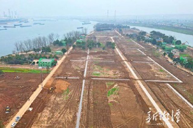 “撒欢杨梅洲都市田园”项目已完成大面积土地整。（全媒体记者 方阳 摄）