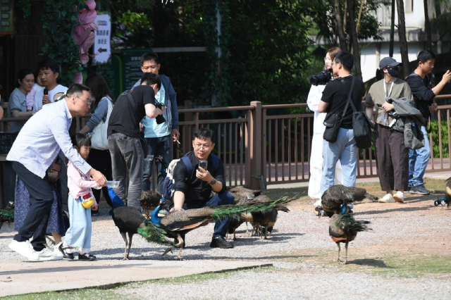 媒体记者与游客一同在盘龙大观园动物乐园参观。（全媒体记者 陈旭东 摄）