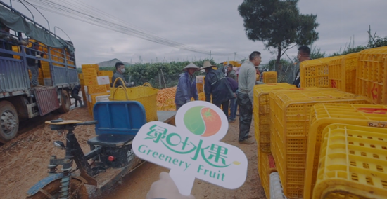 春节期间,绿叶用水果人特有的方式致敬医护人员:总经理唐红带队,为