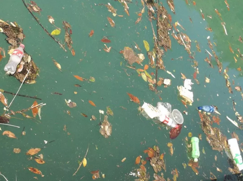 一份检察建议 打响湖南首起"白色污染"防治战