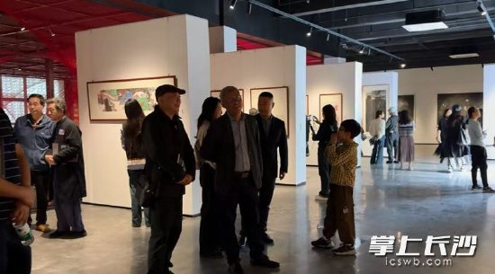 观展现场。