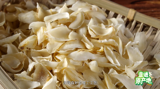 茯苓最好的产地是哪里