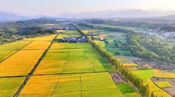 湖南這條公路獲評“全國最美”