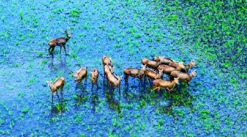 看，湖南生物“顶流”天团