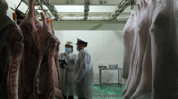 湖南冰鲜猪肉出口新加坡