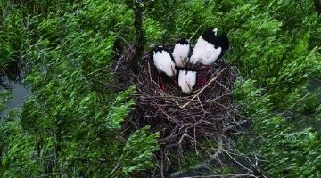 生态湖南呈现硬核底气