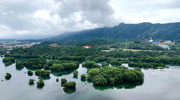 双牌：日月湖湿地公园