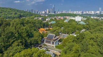 长沙“送学游”爆火