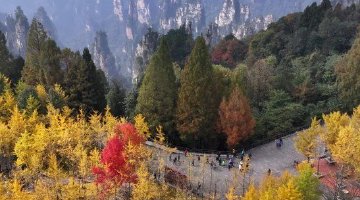 湖南2地入选全国赏秋指南