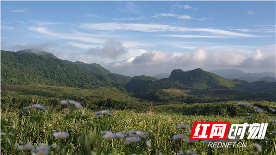 桑植南滩草场入选国家草原自然公园试点名单