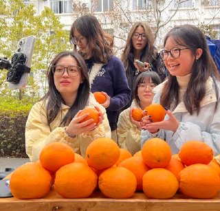 湘南学院学子打通橙薯出村“最后一公里”