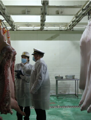 湖南冰鲜猪肉出口新加坡