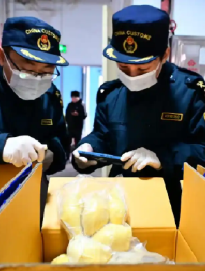 湖南首进中老班列水果