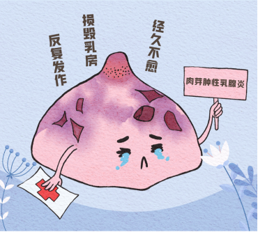 难缠的小魔鬼——肉芽肿乳腺炎,女性朋友必看