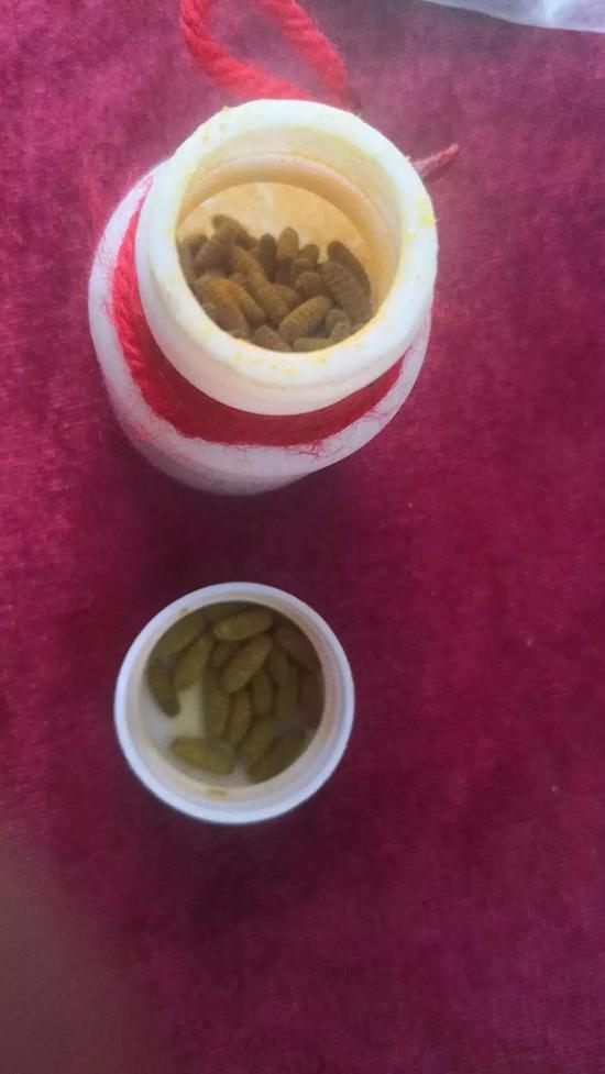 哄骗老人神奇苗药包治百病5名犯罪嫌疑人被抓