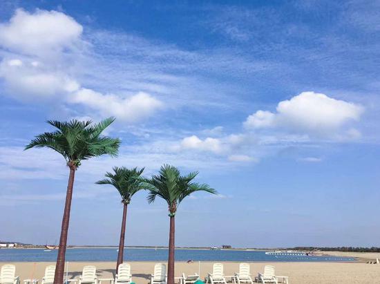 森林木屋海滨沙滩在盐城东台寻找低5的夏天