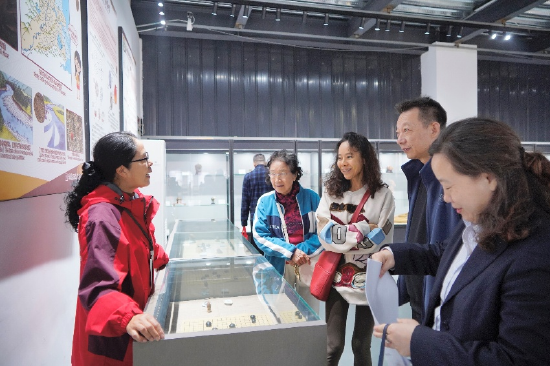 与会者会前观赏雨花石展