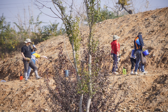 “淘石”的游客