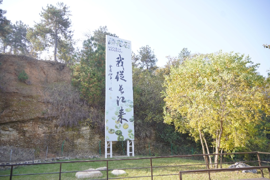 “我从长江来”大型展标