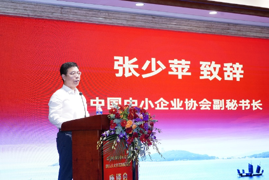 张少苹讲话