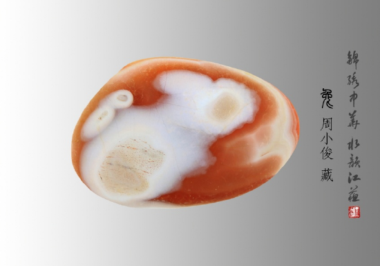 十二生肖系列《兔》