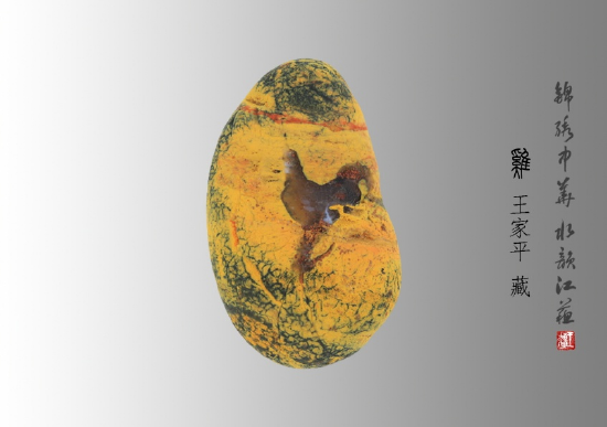 十二生肖系列《鸡》