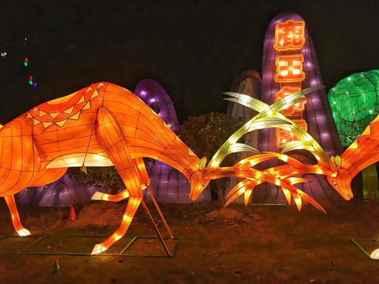 第二届秦淮大丰梅花湾新春灯会璀璨亮灯