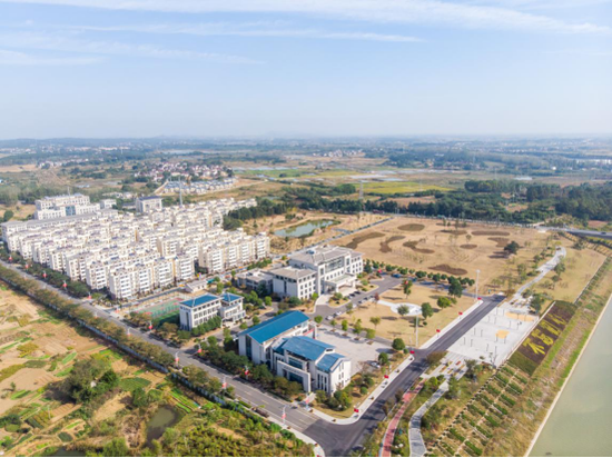 高淳东坝街道持续优化营商环境吸引落户企业超百家