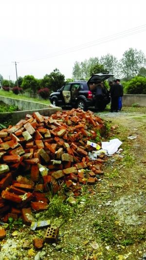 新闻频道 社会 > 正文   备受社会各界关注的南京六合眼镜蛇逃跑事件