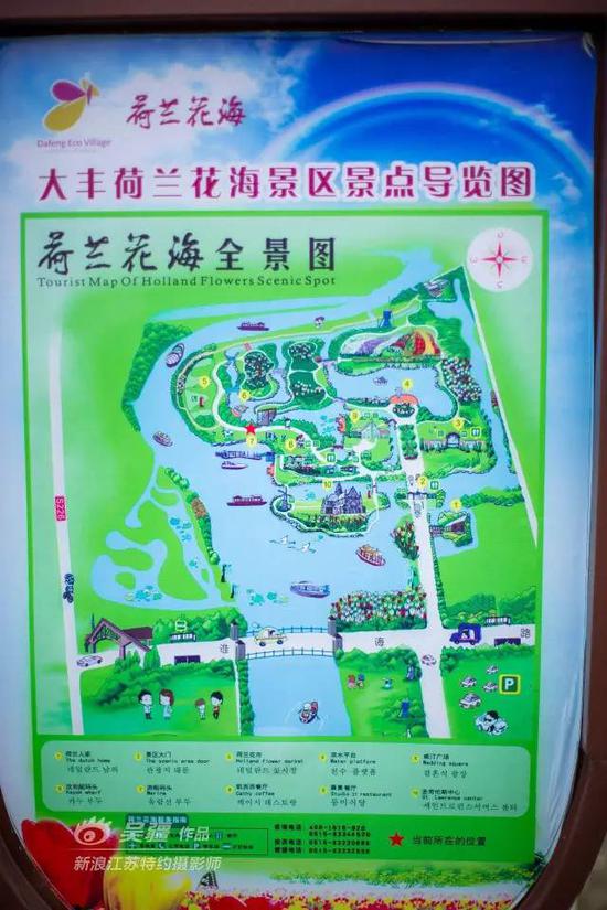 荷兰花海不仅美在花多,还美在周边被水包围,别具一番水乡的味道.
