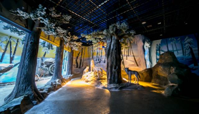 化身小龙王探秘水晶宫暑假来淮安演绎自己的西游记