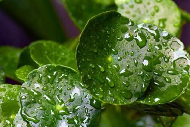 阴雨＋冷空气频繁来江苏，未来三天南京最高气温都不到30℃