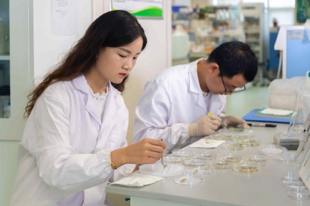 江苏为培育新质生产力锻造科研尖兵