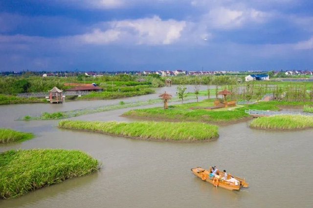 江苏率先实现“村村有5G” 让更多手机变成“新农具”