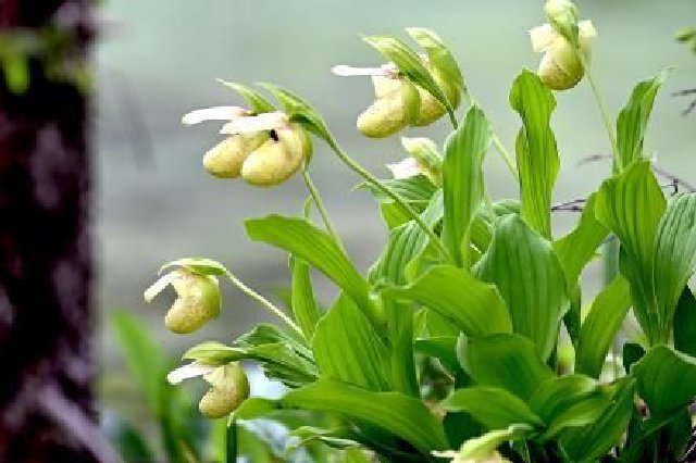 江苏省生态环境厅企业环保接待日外企专场活动举行