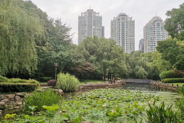 江苏省调度部署冬季低温雨雪冰冻灾害防范应对工作