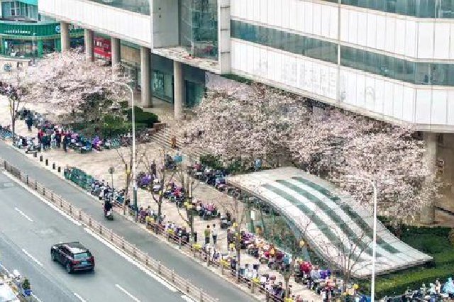 春花、春菜、春衣……看江苏“春日经济”背后的消费需求