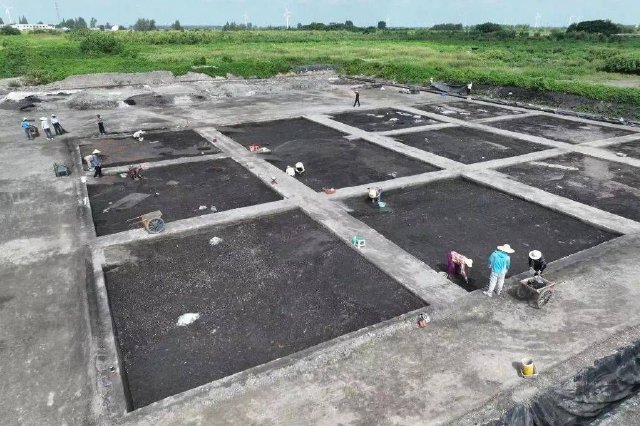 江苏首次发现江北地区滨海湿地型史前遗址 兴化草堰港遗址最新