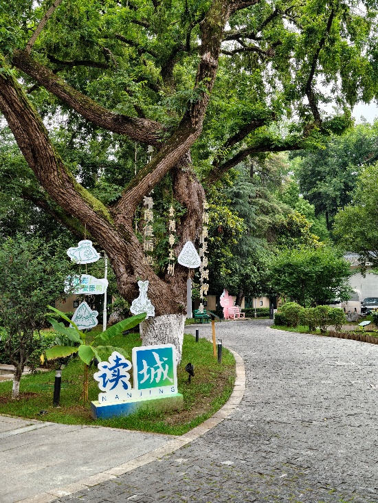 曲径通幽的南京世界文学客厅