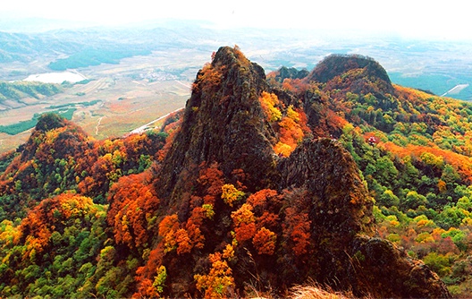 拉法山国家森林公园