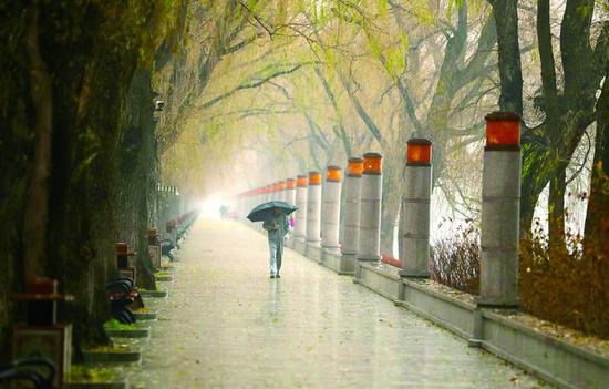 长春市11月18日白天淅淅沥沥下了一天小雨 本组图片 长春晚报记者 王
