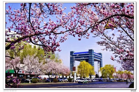 静待花开江城有约吉林市春季旅游线路之赏花摄影篇