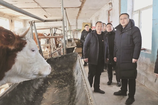 1月5日,辽源市委副书记,市长程宇到东辽县平岗镇身安村就乡村产业振兴