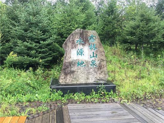 抚松林检泉阳泉农夫山泉水源地走访勘察行动开始