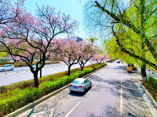 吉林市醉春天的街道美得让人陶醉