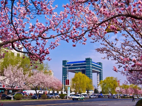 吉林市醉春天的街道美得让人陶醉